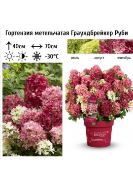 Граундбрейкер Руби (Groundbreaker Ruby) Граундбрейкер Руби (Groundbreaker Ruby)