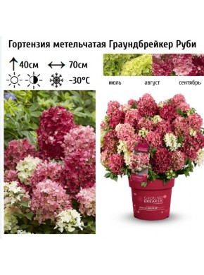 Граундбрейкер Руби (Groundbreaker Ruby)